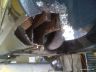 36-uptodate 079.JPG