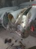 Jaguar XK15000140.jpg