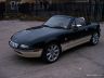 MX-5 (3).jpg