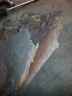 Cloud 111 cills and chassis repair00079.jpg