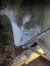 Cloud 111 cills and chassis repair00092.jpg